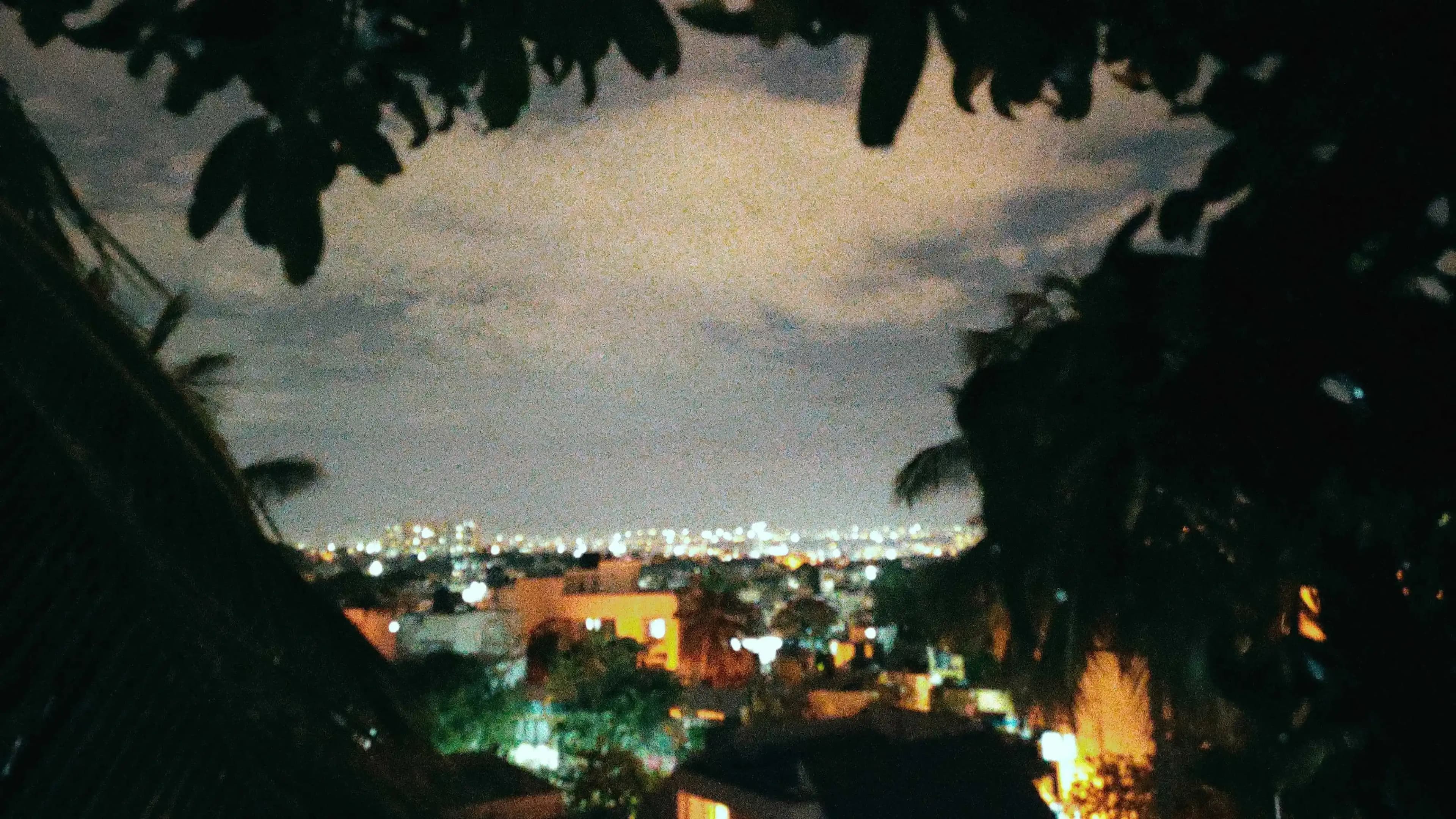 205427-619089-IMG_30221228_172857